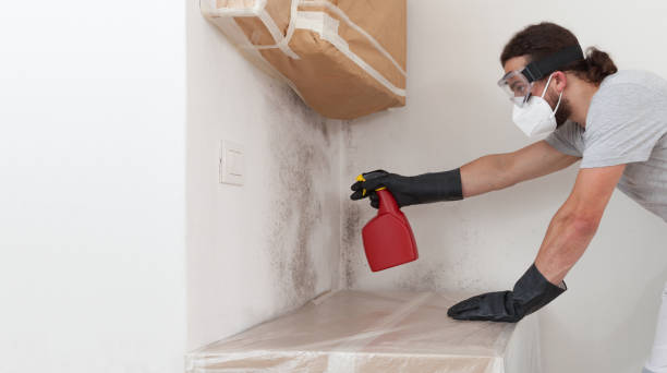 Professional Commercial Mold Remediation technician working in Churchville, NY